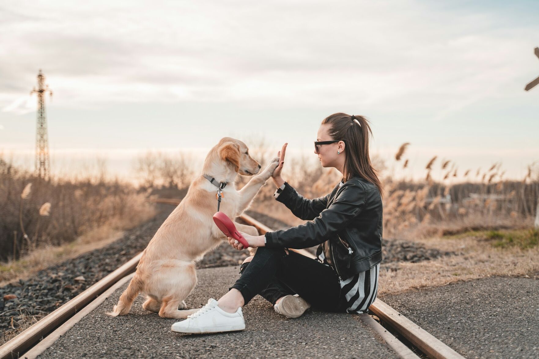 richard-brutyo-xvYxGcwFvuE-unsplash